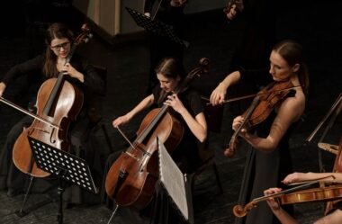 Melhores cordas para violino