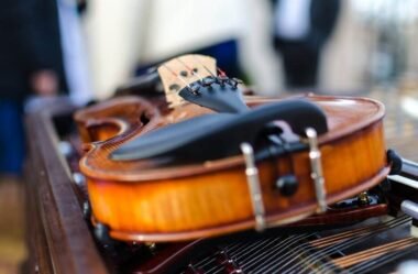 Violino profissional melhor marca